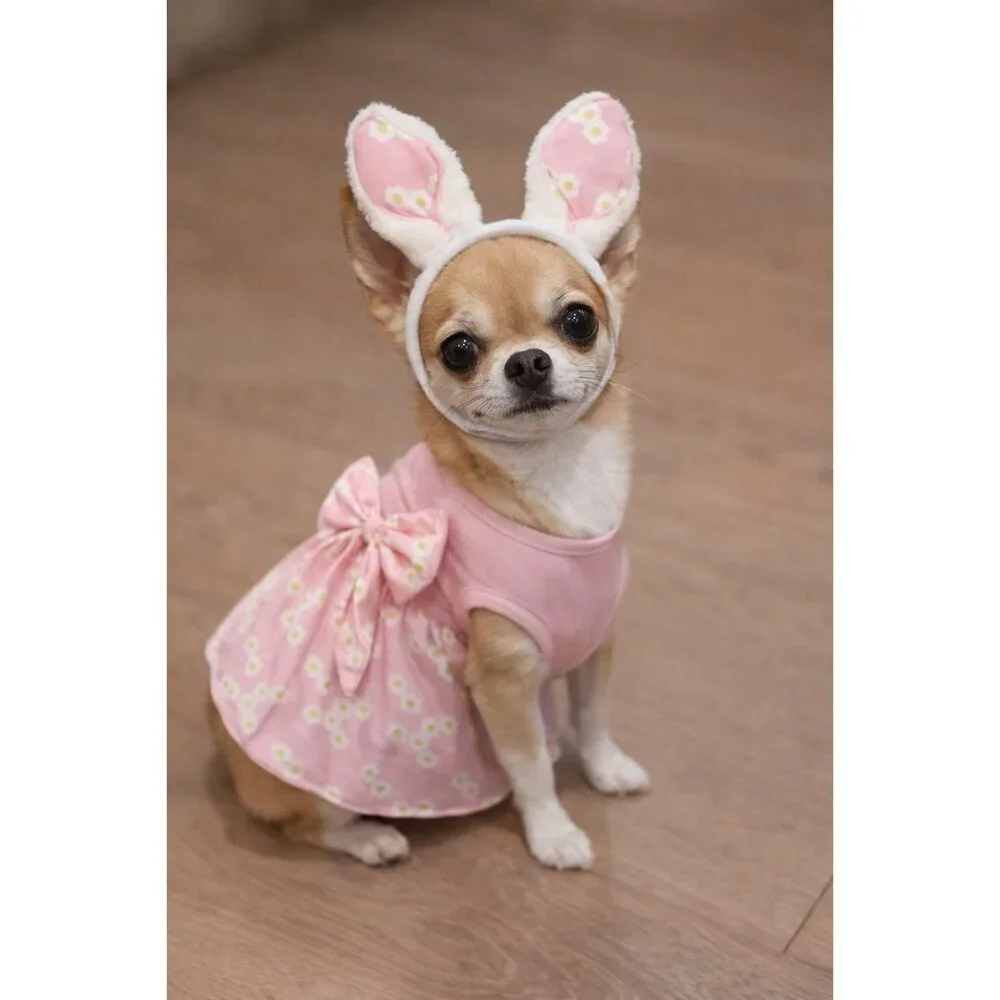 NEW Pink Girl Dog Apparel CLOTHING Easter Bunny Dress W/ Bunny Ears NWT - Small
